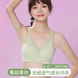 新款蕾丝发育期少女无缝内衣无钢圈柔软透气聚拢定型美背文胸罩