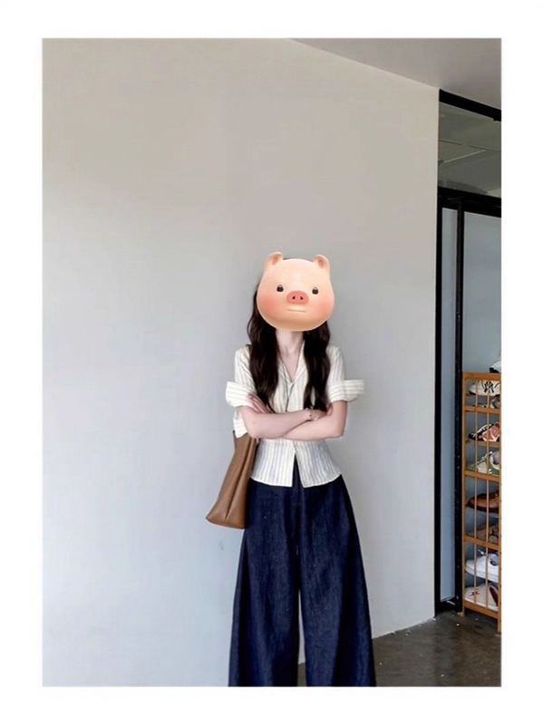 高级感v领条纹短袖衬衫女夏设计感小众短款衬衣法式修身收腰上衣|undefined