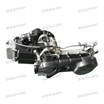Pedal motorcycle engine GY6-163 200cc engine assembly (Motorcycle engine and accessories)