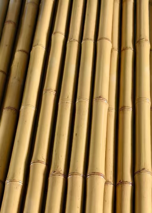 装饰仿真竹竿室内防腐隔断吊顶室外碳化庭院篱笆栅栏搭架黄白竹