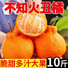 �����Ĵ���֪��������rˮ��10�����䑪����˹����θ��ٰҰҽ���