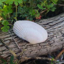 OؐxȻݚֹdiyҾbǰ׼yY