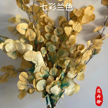 永生花漂色苹果桉尤加利叶干花婚庆布置装饰插花花束保鲜花