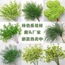 �Gɫ��ɭϵ�Gֲ�~�ӻ��Ų廨���b��߻�c��ˇ��Y��피ٻ�