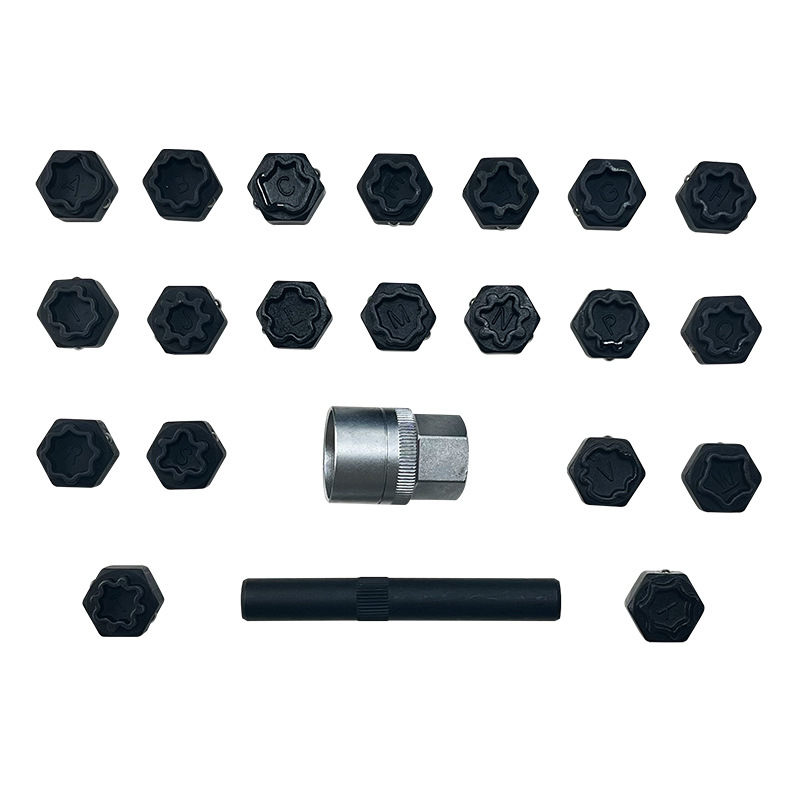 22-Piece Bmw Anti-Theft Screw Socket Tool Set Bmw Audi Anti-Theft Screw Socket Set Bmw Anti-Theft Key