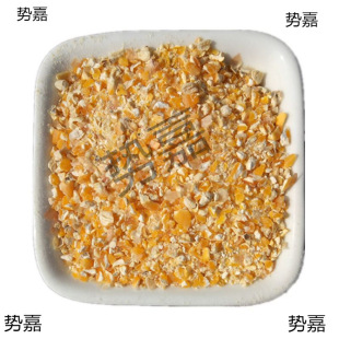 ������ι�u�����i100��50��20��10���b���Z���B���