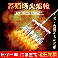 ߜ؇𘌶Bֳ׻ȦҺ^i