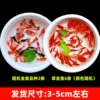 Premium value package (2 random goldfish + 6 grass goldfish), a total of 8 + fish food, about 3-5cm