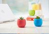 Rainbow small flowerpot, creative plastic automatic plant lamp flower-shaped, wholesale