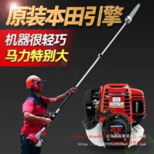 �������M�ڸ�֦������ě_�̶๦�ܼ��L�U�@�־G����֦��L�����