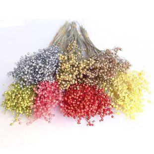 �ɻ���ɫ�yɫ���F����˼�����鶹Ⱦɫ �}�Q���ɹ����ǹ��S�����l