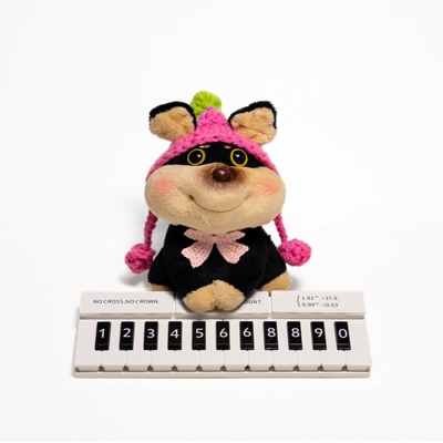 Nömrəli dayanma kartı | Moving Phone Number Sign - rose-pink-long-haired-bee-dog-piano-parking-sign