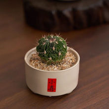 �t̫��S���f��ɽ�������҃�ֲ���k���Һ��B����Gֲ��������