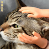 Same item Finger Toys His cat plastic cement glove Funny originality Pets Toys about Small hands