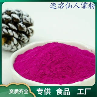 速溶仙人掌粉 水溶性仙人掌粉 仙人掌汁粉 喷雾干燥 厂家现货 1斤