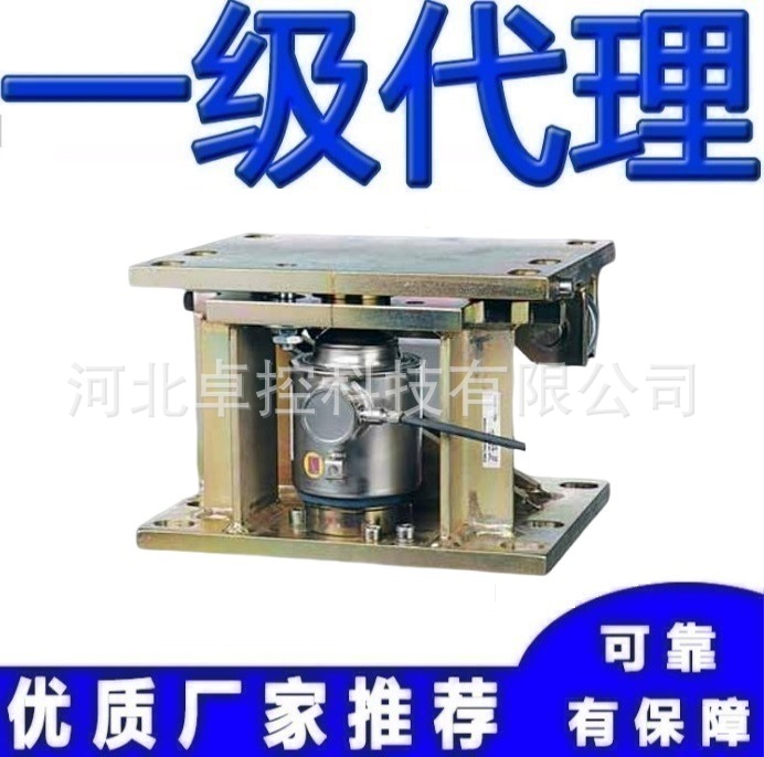 PR6001/33N/10S/11S称重模块赛多利斯美蓓亚Minebea Intec