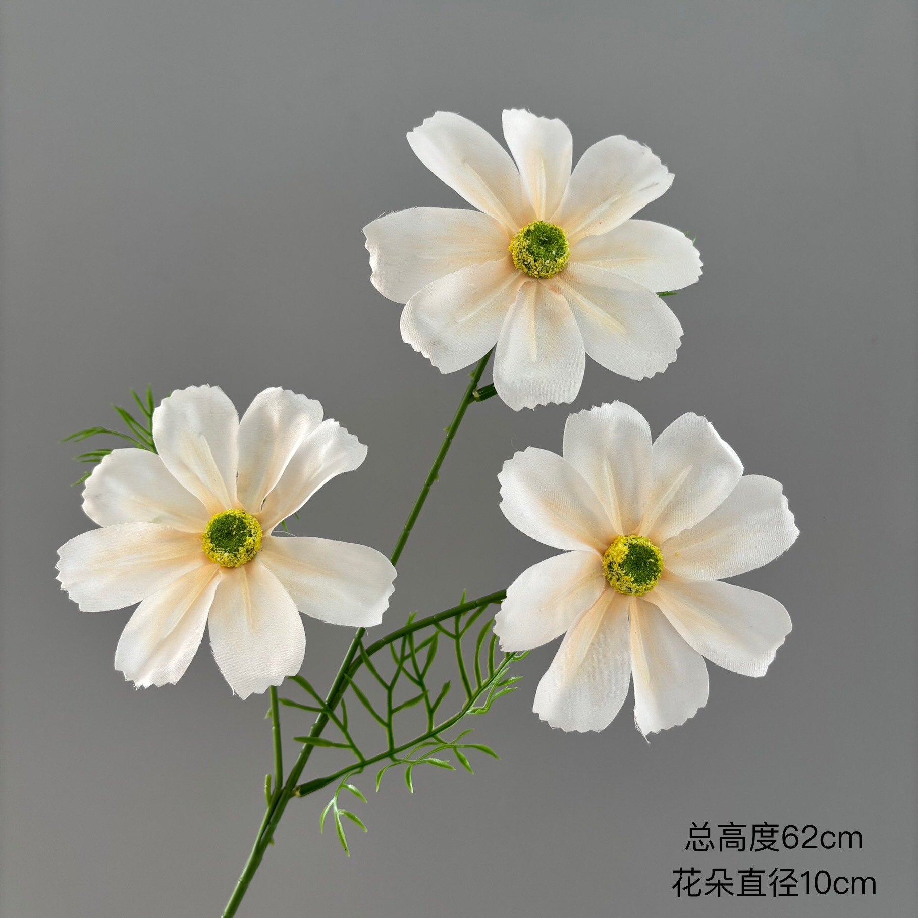 샴페인