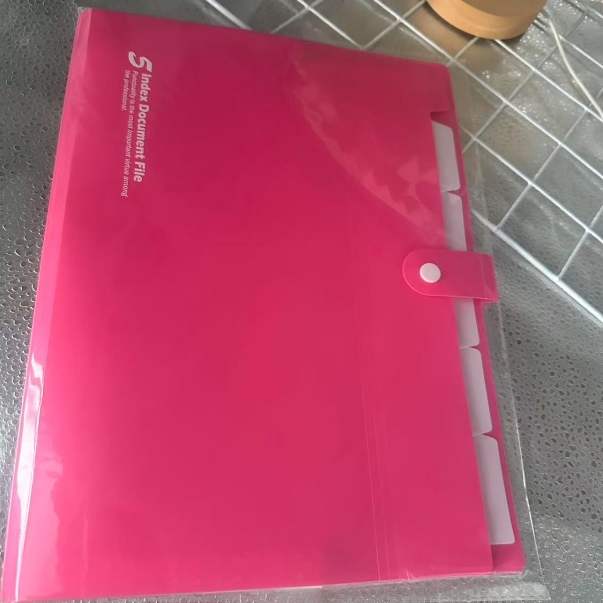 Bolsa de órgano de plástico A4 bolsa de órgano de múltiples capas Carpeta de inserción de negocios bolsa de archivo de múltiples funciones bolsa de archivo PP en stock