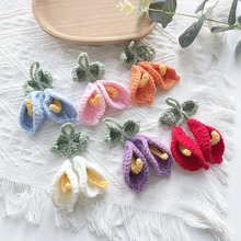 �ֹ��h���R��ɏ���b�o������������߅����ֹ������l