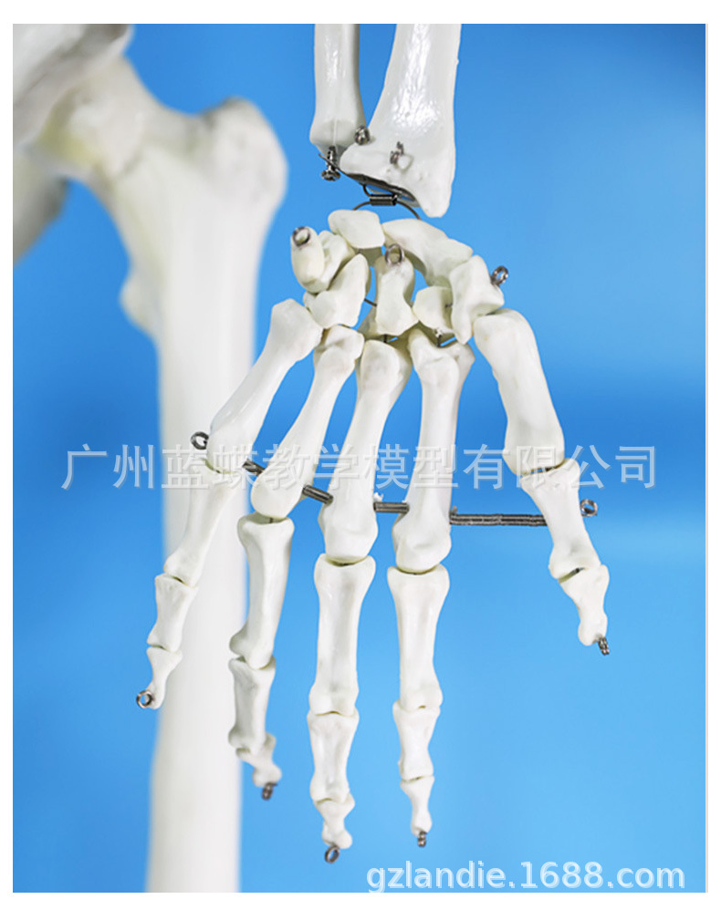 详情_12