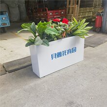 ����������ʻ����̈������������νM�ϻ����Fˇ���۸��໨�ܾGֲ