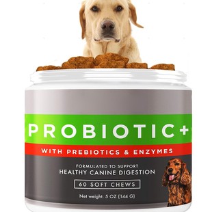 Best-Selling Products in the United States Dog Probiotics and Digestive Enzymes Probiotic O Em