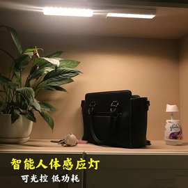 LED无线橱柜灯 免布线智能人体感应灯 长条灯衣柜感应灯条 层板灯