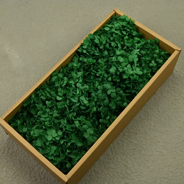 AB wood hydrangea dark green (100g)