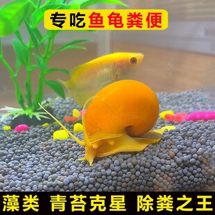 ���~ʺ�S���^�p�Ꭷ����ȸ�r�絭С���`�~��ˮ�匙��������坍��