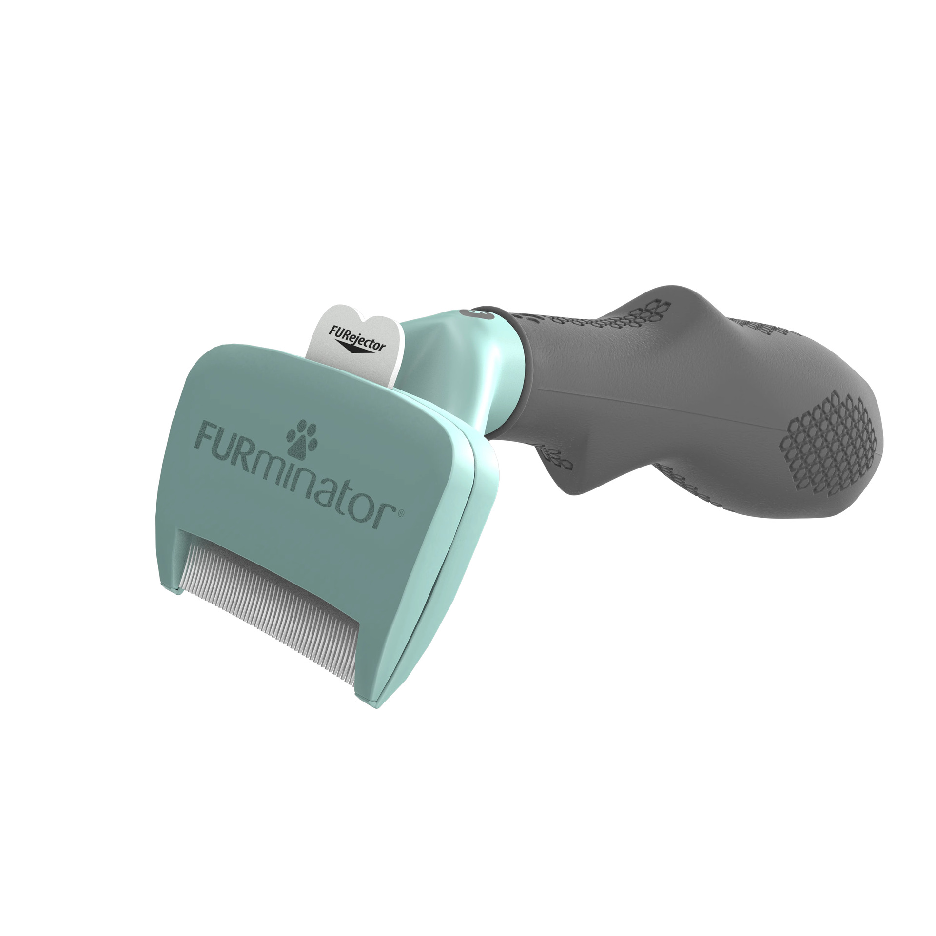 Peine de pelo de terciopelo bajo pequeño gato de pelo corto pequeño