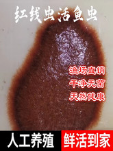 �t���x���~ʳ���w���xˮ���t�z�x��С�^�p�~�ߵ��װlɫ����~�D