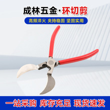 ���l�h�м�7����䌣�È@�ֹ��߄�Ƥ����֦��֦������Ƥ���h�