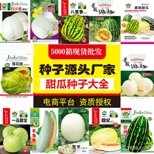 Դ�^�S�����l��ϷN�Ӵ�ȫ����۾G��ʯ��ϷN��ˮ����ɳ�۱�����