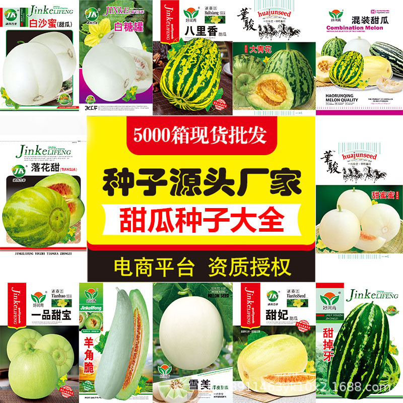 源头厂家批发甜瓜种子大全羊角蜜绿宝石香瓜种籽水果白沙蜜冰糖子
