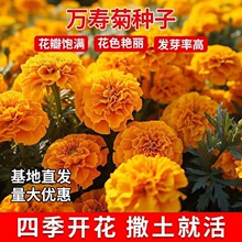 f۾շNӾջNļ׻ɫܽػNԻN