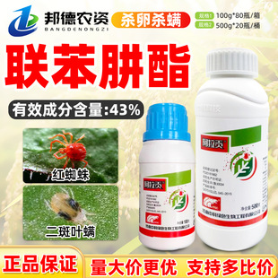 �пư���ؕ 43%�������O����t֩���~�\���Ú��њ��\�rș���x��