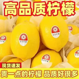 传统糕点;面筋制品;饼干