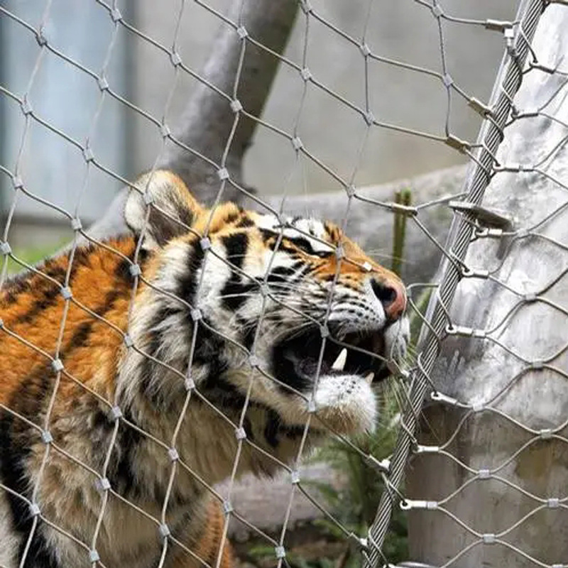 不锈钢绳网动物园猛兽区鸟语林柔性防护网野生动物304养殖笼舍网