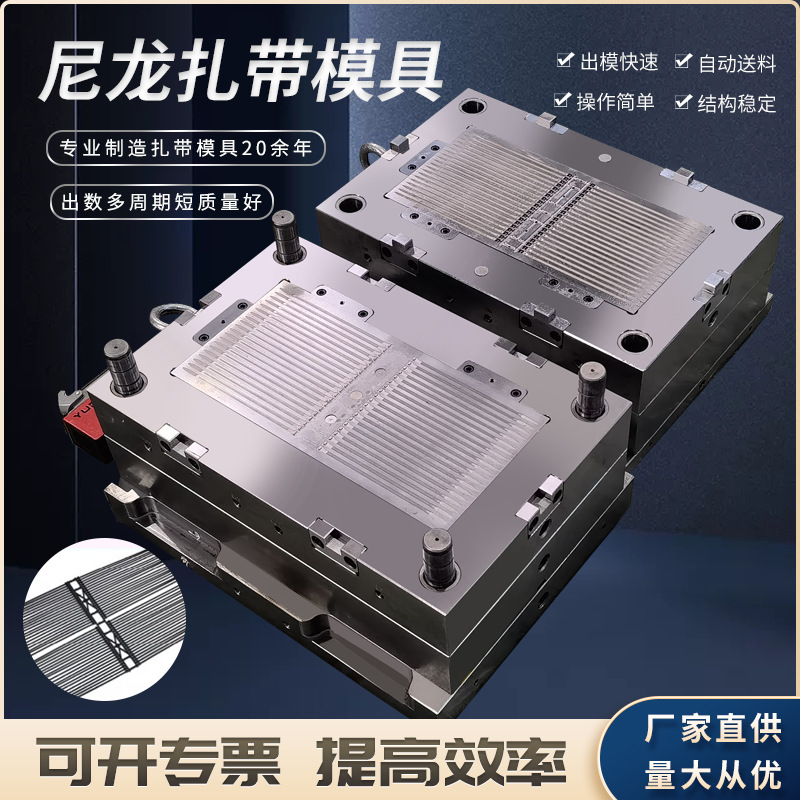 乐清博锐专业制造扎带模具厂家直销尼龙扎带尼龙扎带模具扎带模具