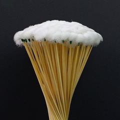 Ear picking tools white bamboo handle goose feather stick to pick out ear hair and tickle goose feather stick set technician professional tools wholesale