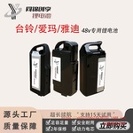 电动车48v锂电池电瓶台铃新日爱玛可替换星恒电芯