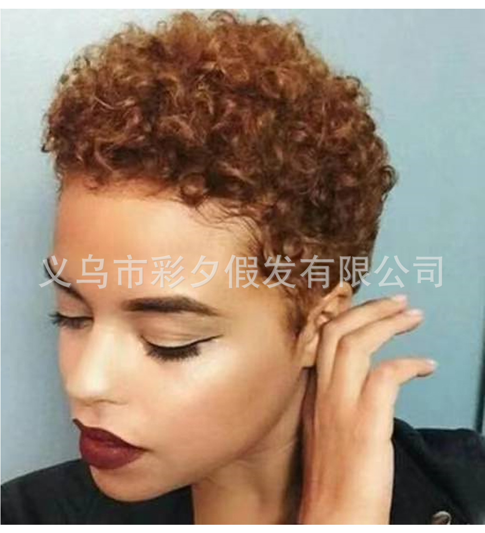 Peluca de comercio exterior de Europa y América explosión pequeño rizado pelo falso pelo corto de las mujeres africanas