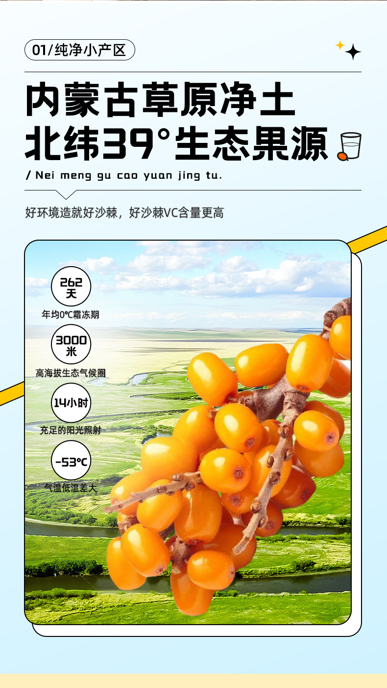 Sea Buckthorn Juice Puree 1.8L 60 Sachets Bulk Pack Fresh Pressed Ready to Drink key features