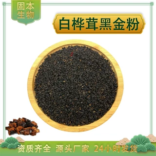 白桦茸黑金粉桦树茸黑金粉白桦茸多糖白桦茸萃取物厂家现货包邮
