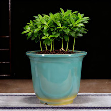 陶瓷花盆景盆圆筒兰花盆春兰盆金钟盆开片釉觅陶乡古典花盆批发