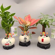 Сϲ�gϲ��������Gֲ�����b�����[�������՚�������������