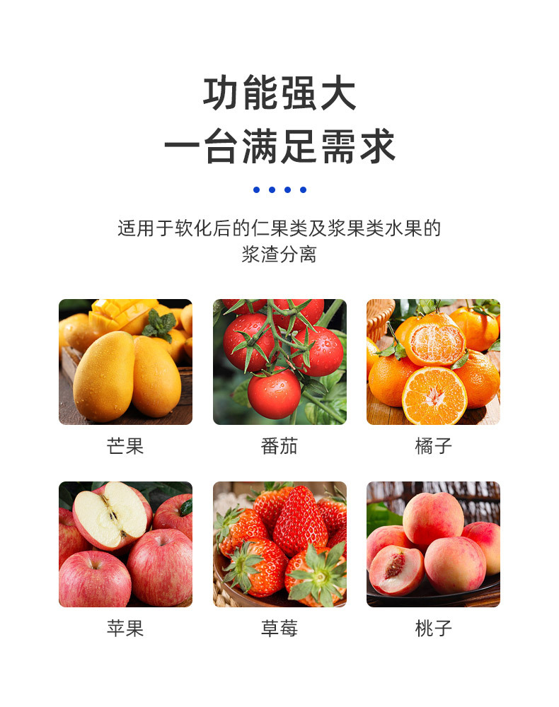 芒果打漿機(jī)_03