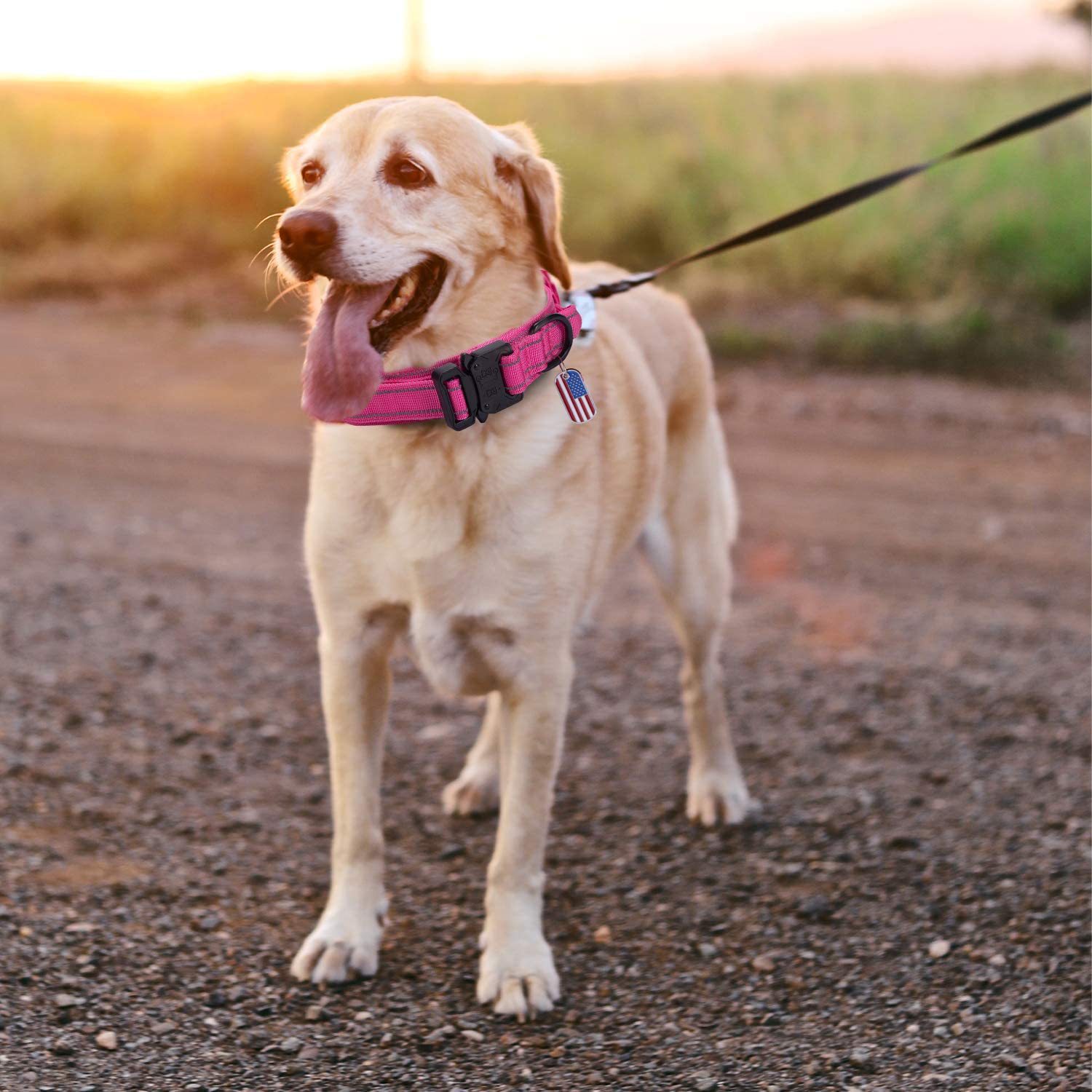 71pDfFA1VoL._AC_SL1500_