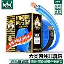 �f��������6�ǧ�׷����ξW��cat6�o���~���̼��þW�j������
