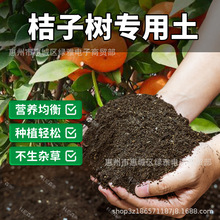 �����Ә䌣�������B��ͨ���͠I�B���Gֲ�Nֲ���������ЙC��������